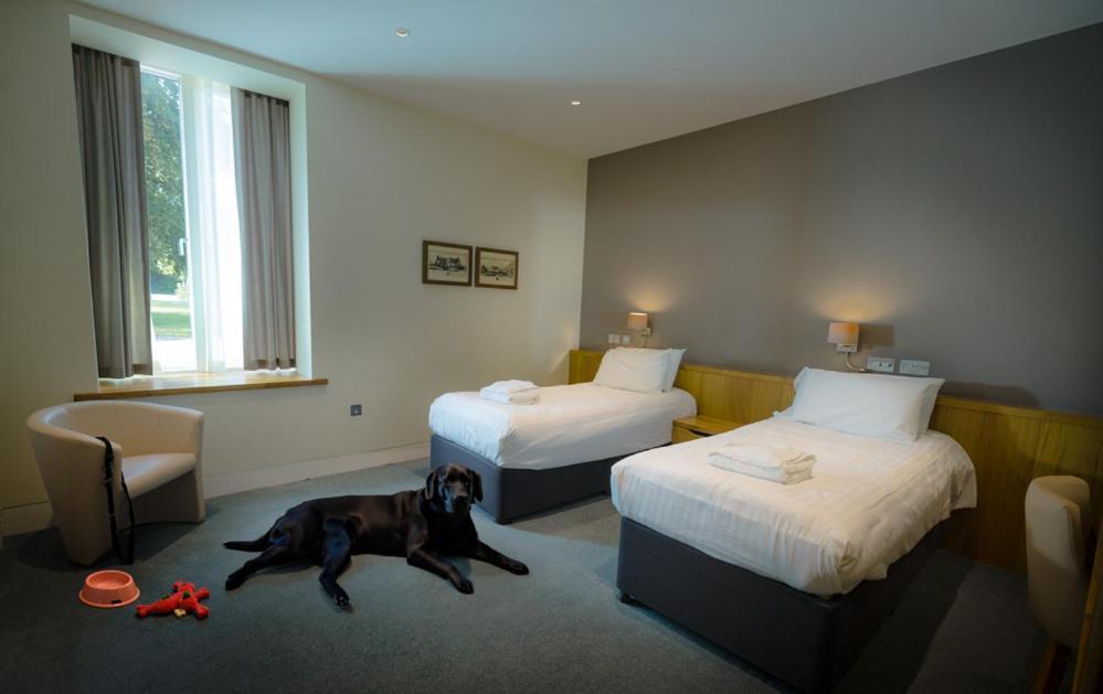 Northgate House Hotel Buckfastleigh Luaran gambar